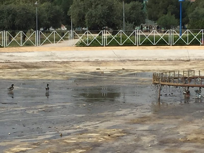 fuente carrascal2