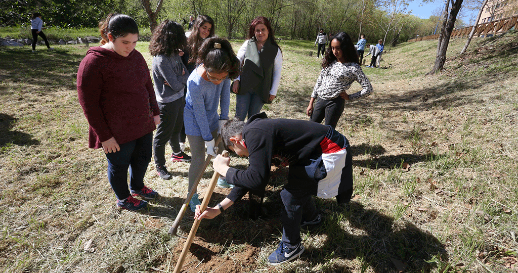 reforestacion ayuntamiento