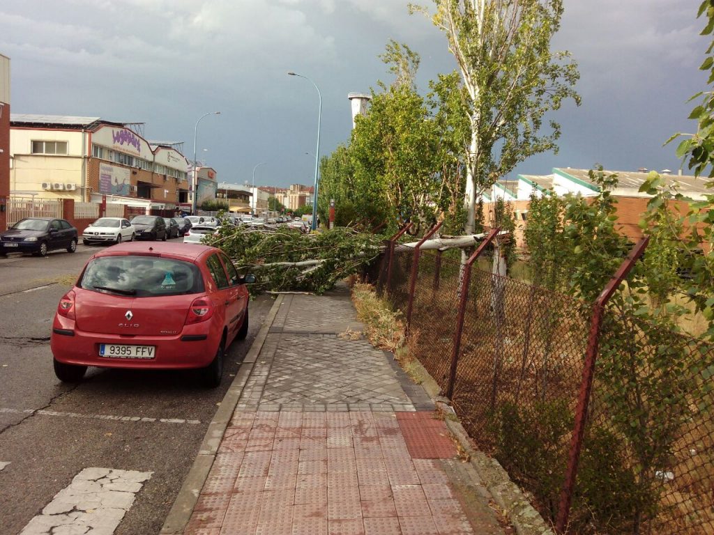 arbol caido leganes