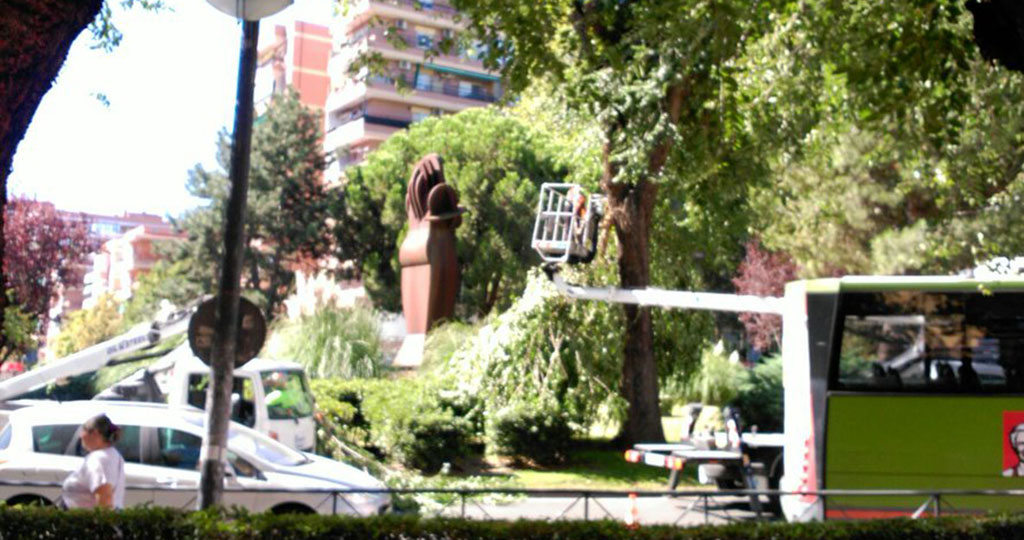 olmo-cae-rama-en-avenida-juan-carlos-i