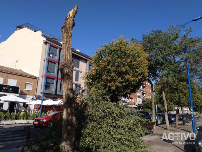 tormenta en leganes