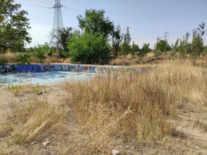 Pastos en la piscina Solagua