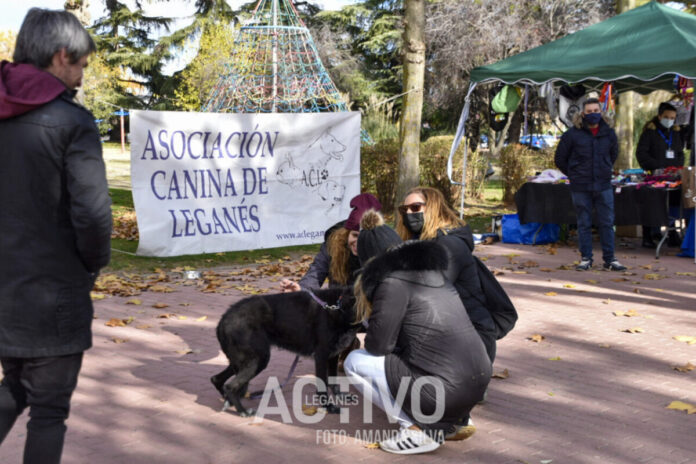 jornada adopcion canina leganes