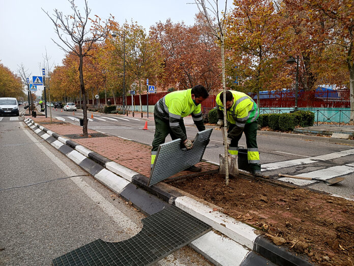 plantacion arboles leganes