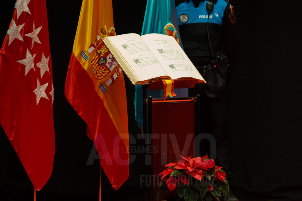 constitucion espanola