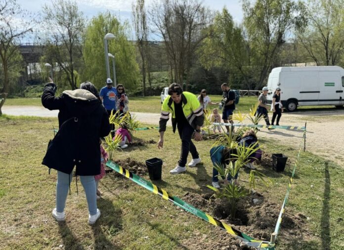 Plantacion popular de butarque