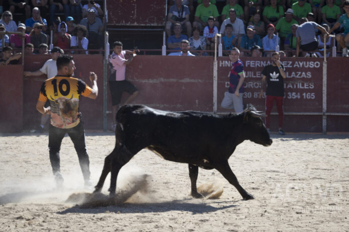 vaquillas leganes fiestas butarque leganes