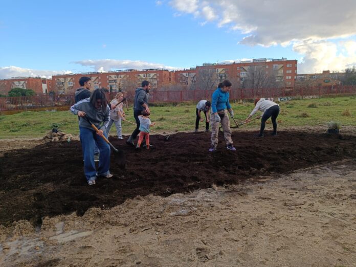 voluntarios dejovenes