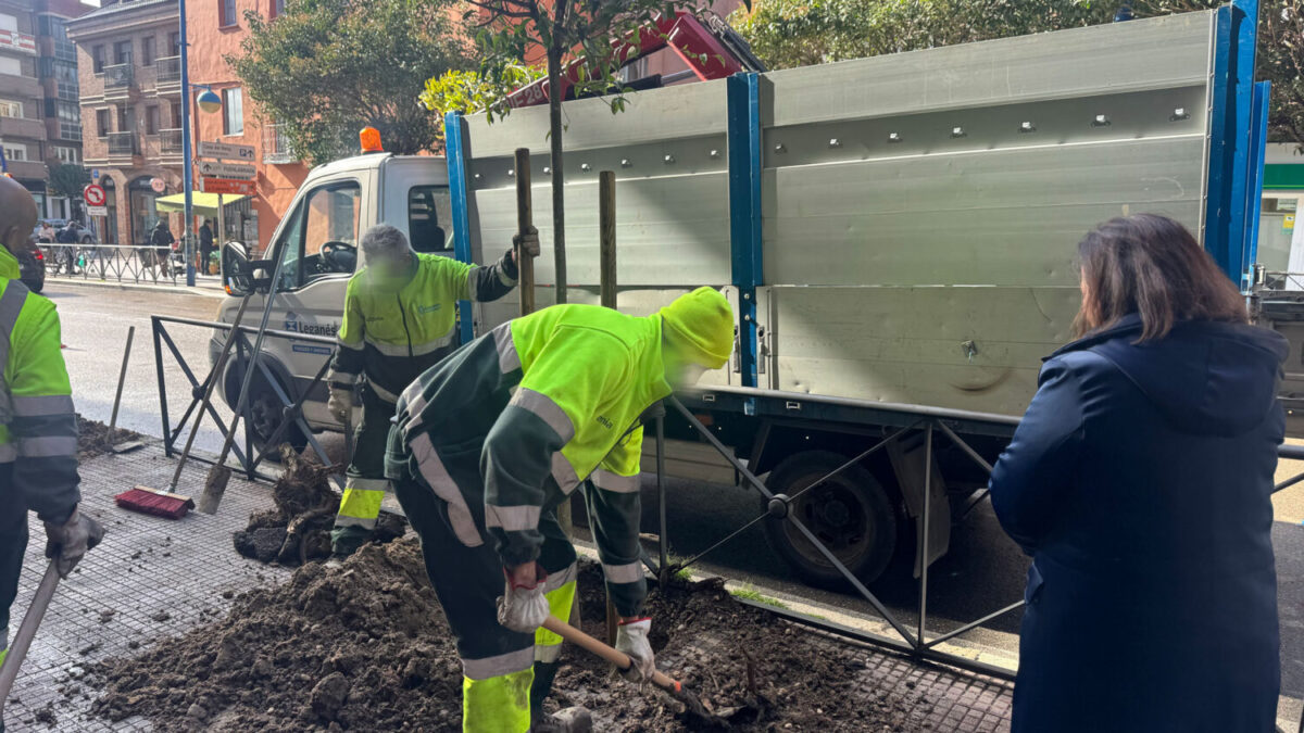 retirada alcorques vacios leganes