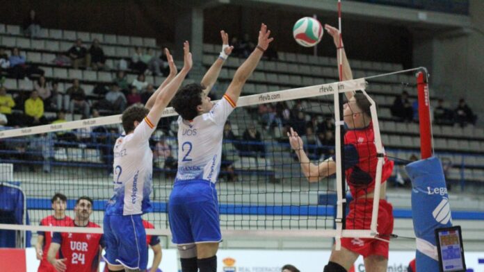 voleibol masculino