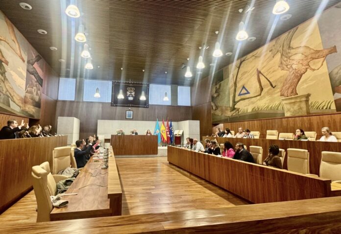 pleno leganes