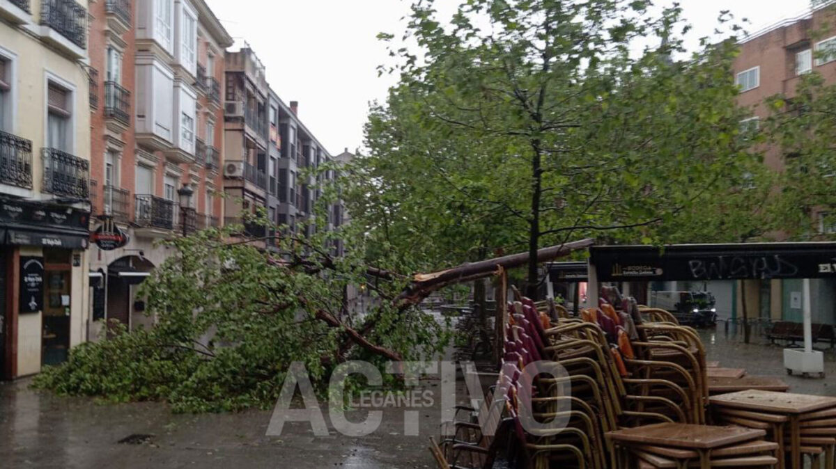 arbol caido en plaza españa leganes