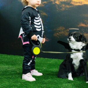 Concurso de perros Halloween_31