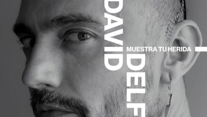 David Delfin película